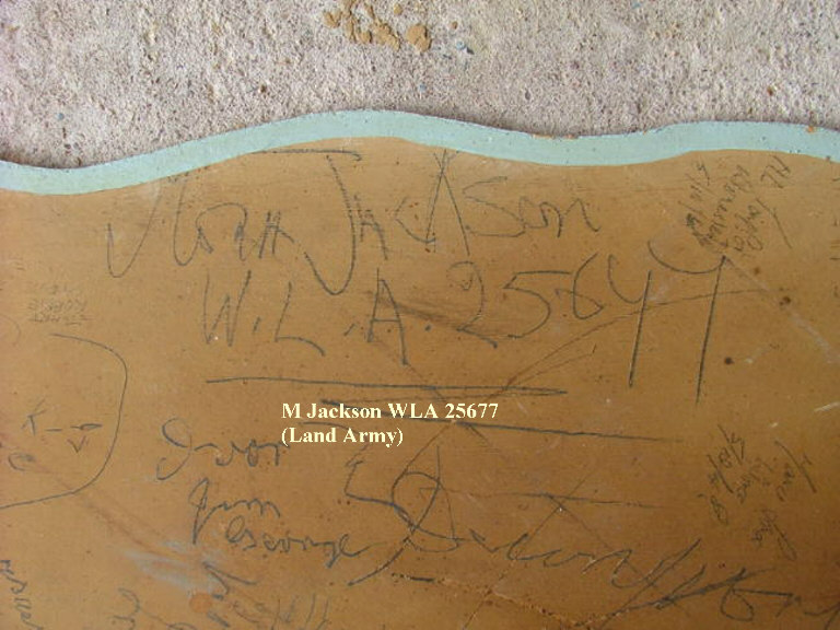 M Jackson WLA 25677 (Land Army) 